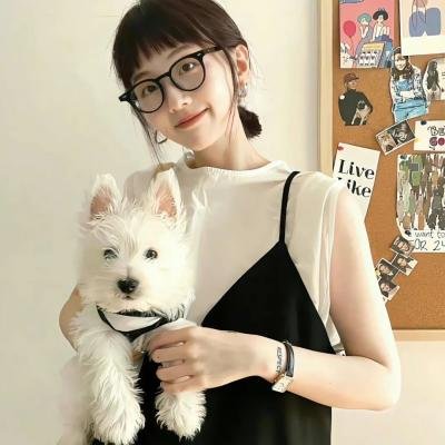 直言真相第三季